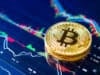 https://www.freepik.com/premium-photo/bitcoins-ladder-chart-cryptocurrency-concept_5265392.htm#query=crypto%20exchange&position=20&from_view=search