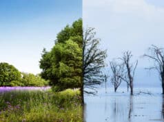 https://www.freepik.com/free-photo/climate-change-concept-collage_19332541.htm#query=climate%20change&position=0&from_view=search
