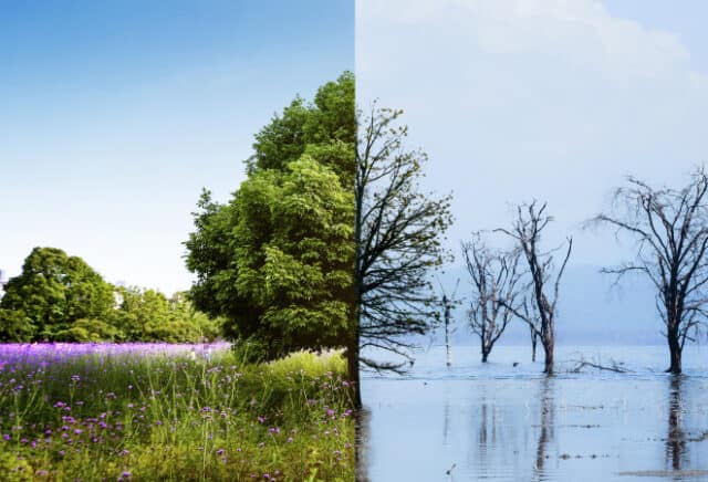 climate-change-concept-collage https://www.freepik.com/free-photo/climate-change-concept-collage_19332541.htm#query=climate%20change&position=0&from_view=search