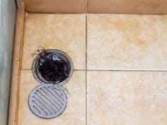 https://www.vecteezy.com/photo/6640202-drain-hole-with-hair-in-bathroom-hair-loss-problems-and-clogged-water-pipes