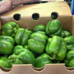 A bushel of green peppers ready for shipping