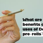 What-are-the-benefits-and-uses-of-Delta-8-pre-rolls