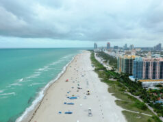 https://www.freepik.com/free-photo/miami-beach-with-buildings-right_10860186.htm#query=miami%20skyline&position=18&from_view=search