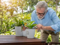 https://www.freepik.com/free-photo/senior-old-man-eldery-puring-water-taking-care-small-tree-table-garden_26227029.htm#query=senior%20gardening&position=0&from_view=search