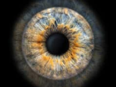 https://www.freepik.com/premium-photo/spectacular-closeup-macro-photo-iris-twocolored-eye-ideal-background-texture_30094490.htm#query=cornea&position=6&from_view=search