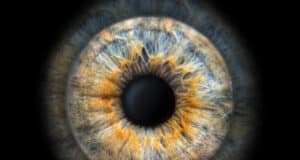 https://www.freepik.com/premium-photo/spectacular-closeup-macro-photo-iris-twocolored-eye-ideal-background-texture_30094490.htm#query=cornea&position=6&from_view=search