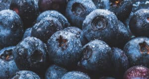 https://www.vecteezy.com/photo/1224336-blueberries-with-water-drops