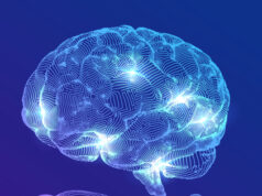 https://www.freepik.com/free-vector/brain-digital-brain-hand-neural-network_8800951.htm#query=3D%20Brain&position=1&from_view=search