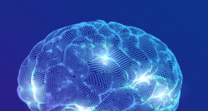https://www.freepik.com/free-vector/brain-digital-brain-hand-neural-network_8800951.htm#query=3D%20Brain&position=1&from_view=search