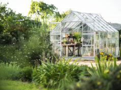 https://www.freepik.com/free-photo/glass-greenhouse_2971570.htm#query=backyard%20garden&position=7&from_view=search