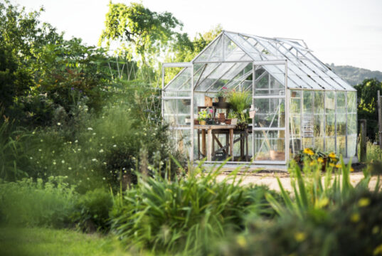 https://www.freepik.com/free-photo/glass-greenhouse_2971570.htm#query=backyard%20garden&position=7&from_view=search