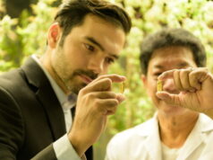 https://www.vecteezy.com/photo/9976061-farm-owners-and-scientists-who-run-the-cannabis-plantation-verify-the-integrity-of-cannabis-oil-and-cannabis-products-in-the-cannabis-plantation
