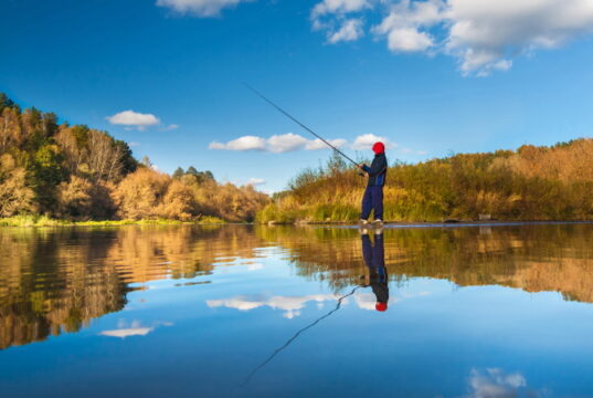 https://www.vecteezy.com/photo/9828044-fisherman-boy-on-panoramic-landscape-with-wide-broad-river-in-autumn-forest-in-sunny-day-with-reflection