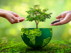 https://www.vecteezy.com/photo/8946406-people-are-watering-and-fertilizing-the-plants-environmental-care-concept