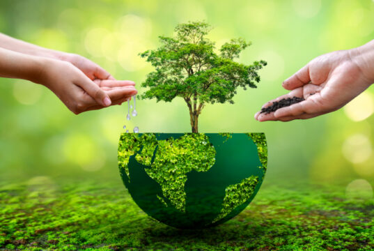 https://www.vecteezy.com/photo/8946406-people-are-watering-and-fertilizing-the-plants-environmental-care-concept