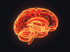 https://www.freepik.com/premium-photo/brain-hologram-visualization-dark-background-3d-rendered_25406607.htm#query=brain%20alzheimer%20mental%20health%20brain%20alzheimer%20mental%20health&position=10&from_view=search&track=sph