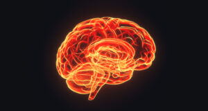 https://www.freepik.com/premium-photo/brain-hologram-visualization-dark-background-3d-rendered_25406607.htm#query=brain%20alzheimer%20mental%20health%20brain%20alzheimer%20mental%20health&position=10&from_view=search&track=sph