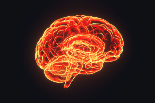 https://www.freepik.com/premium-photo/brain-hologram-visualization-dark-background-3d-rendered_25406607.htm#query=brain%20alzheimer%20mental%20health%20brain%20alzheimer%20mental%20health&position=10&from_view=search&track=sph