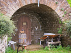 https://www.freepik.com/free-photo/entrance-old-italian-wine-cellar_12965348.htm#query=chianti&position=0&from_view=search&track=sph