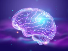https://www.freepik.com/premium-photo/image-human-brain_5013337.htm#query=brain&from_query=brain%20mapping&position=45&from_view=search&track=sph