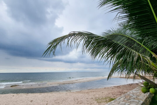 https://www.vecteezy.com/photo/7327347-beautiful-golden-sand-beach-sunrise-fresh-sea-breeze-summer-vacation-with-green-coconut-leaves-tree-blue-sky-and-white-clouds