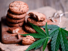 https://www.vecteezy.com/photo/11909749-delicious-sweet-dessert-cookie-with-hemp-leaf-plant-thc-cbd-herbs-food-snack-and-medical-cannabis-food-cookies-with-cake-chocolate-cannabis-leaf-marijuana-herb-on-wooden-background