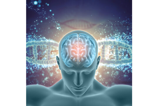 https://www.freepik.com/premium-photo/3d-medical-background-with-male-figure-with-brain-highlighted-dna-strands_1808771.htm#query=epilepsy&position=12&from_view=search&track=sph