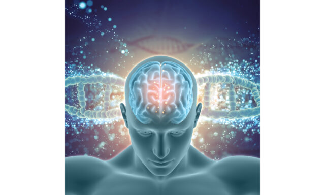 https://www.freepik.com/premium-photo/3d-medical-background-with-male-figure-with-brain-highlighted-dna-strands_1808771.htm#query=epilepsy&position=12&from_view=search&track=sph
