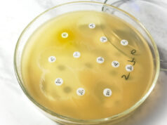 https://www.freepik.com/premium-photo/antimicrobial-susceptibility-testing-petri-dish-antibiotic-resistance-bacteria_33863221.htm#query=antimicrobial%20resistance&position=16&from_view=search&track=sph