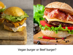 https://www.vecteezy.com/photo/8225538-big-sandwich-hamburger-burger-with-beef-cheese-tomato-and-fried-bacon. https://www.freepik.com/free-photo/composition-with-delicious-vegan-burger_16392900.htm#page=2&query=plant%20food%20protein&position=3&from_view=search&track=sph