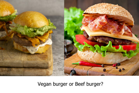 https://www.vecteezy.com/photo/8225538-big-sandwich-hamburger-burger-with-beef-cheese-tomato-and-fried-bacon. https://www.freepik.com/free-photo/composition-with-delicious-vegan-burger_16392900.htm#page=2&query=plant%20food%20protein&position=3&from_view=search&track=sph