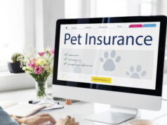 https://www.freepik.com/free-photo/pet-insurance-care-guarantee-concept_17129275.htm#query=pet%20insurance&position=8&from_view=search&track=sph