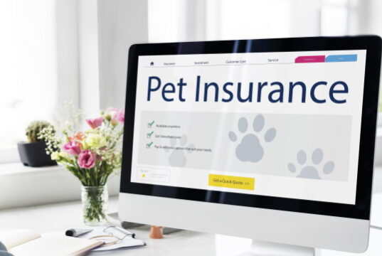 https://www.freepik.com/free-photo/pet-insurance-care-guarantee-concept_17129275.htm#query=pet%20insurance&position=8&from_view=search&track=sph
