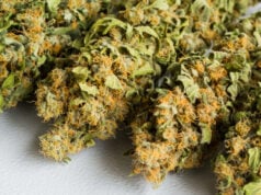 https://www.freepik.com/free-photo/selective-focus-shot-cannabis-white-surface_17528438.htm#query=smoke%20cannabis&position=6&from_view=search&track=sph