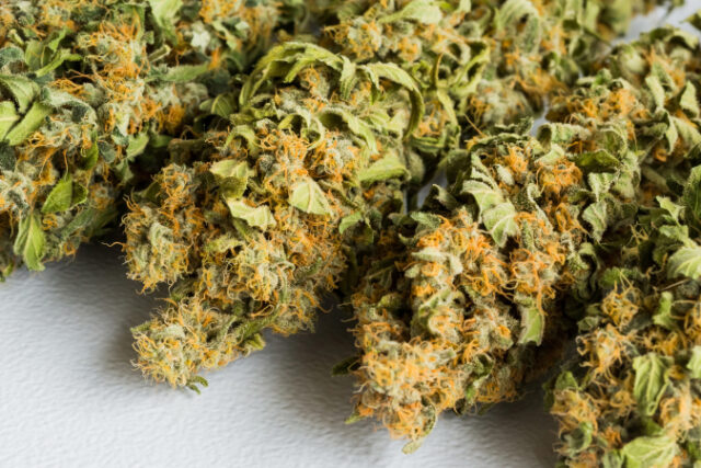 selective-focus-shot-cannabis-white-surface https://www.freepik.com/free-photo/selective-focus-shot-cannabis-white-surface_17528438.htm#query=smoke%20cannabis&position=6&from_view=search&track=sph
