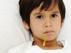 Asset ID: SBI-300913030