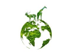 https://www.vecteezy.com/photo/7950575-green-world-with-wildlife-silhouette-wildlife-conservation-concept