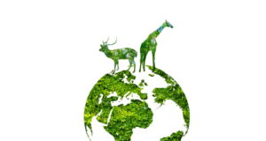 https://www.vecteezy.com/photo/7950575-green-world-with-wildlife-silhouette-wildlife-conservation-concept