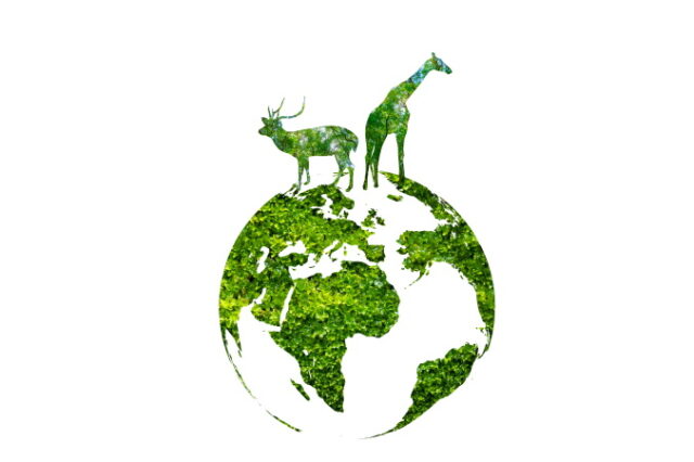 Green world with wildlife silhouette, wildlife conservation concept. https://www.vecteezy.com/photo/7950575-green-world-with-wildlife-silhouette-wildlife-conservation-concept