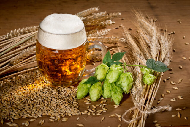 https://www.vecteezy.com/photo/1314715-beer-glass-and-hops