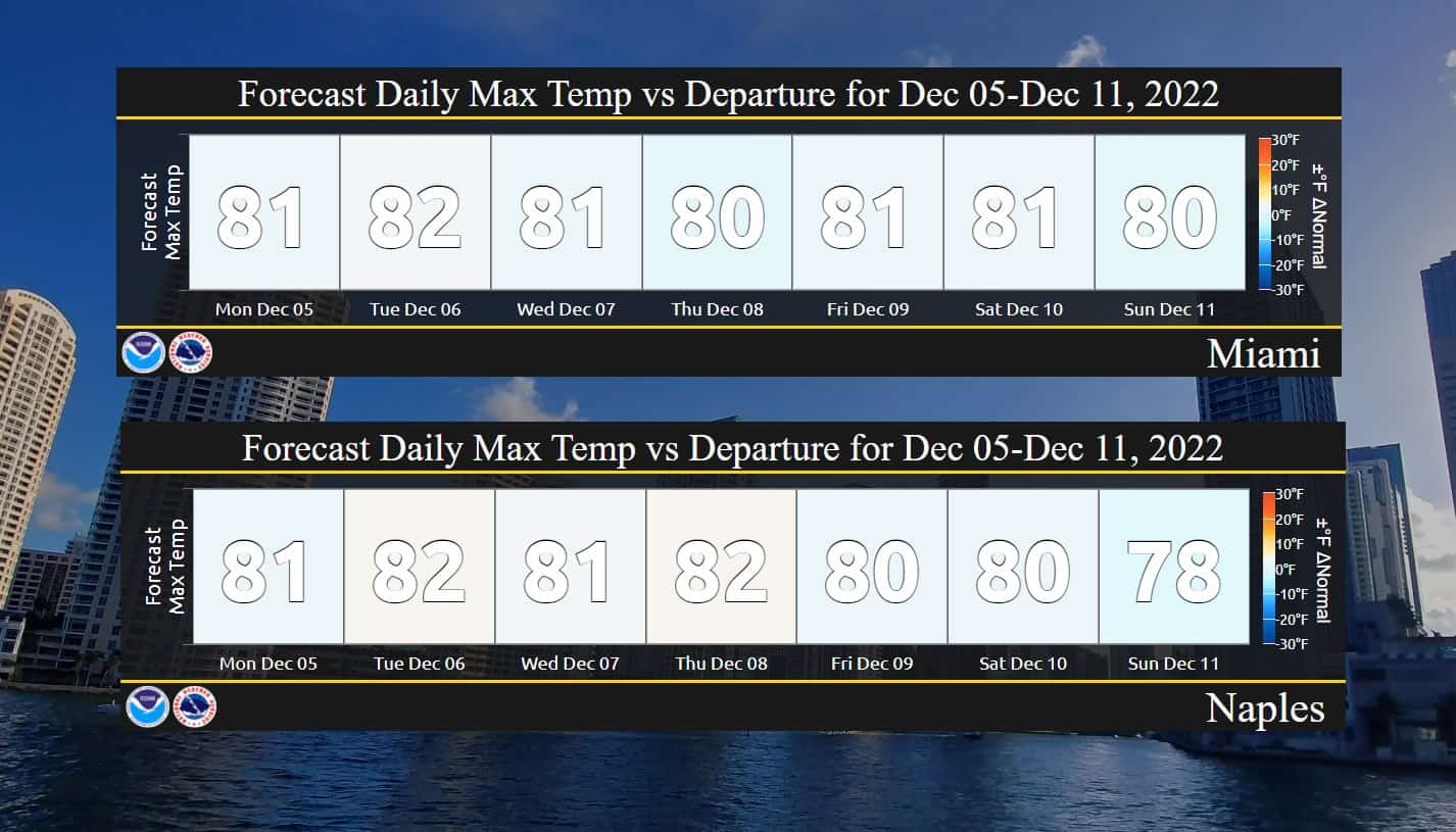 Florida Will Be Sunny Side Up This Week - South Florida Reporter