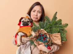 https://www.freepik.com/free-photo/horizontal-shot-upset-asian-woman-looks-sadly-camera-purses-lips-carries-pug-dog-winter-clothes-bouquet-made-spruce-branches-retro-garland-has-bad-mood-poses-against-beige-wall_23764995.htm#query=christmas%20dejected&position=0&from_view=search&track=sph
