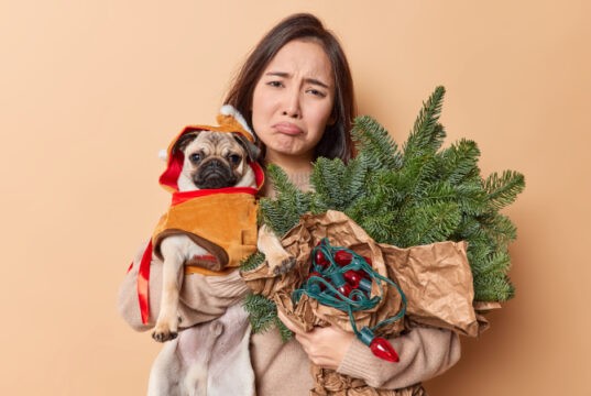 https://www.freepik.com/free-photo/horizontal-shot-upset-asian-woman-looks-sadly-camera-purses-lips-carries-pug-dog-winter-clothes-bouquet-made-spruce-branches-retro-garland-has-bad-mood-poses-against-beige-wall_23764995.htm#query=christmas%20dejected&position=0&from_view=search&track=sph