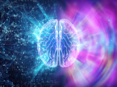 https://www.freepik.com/premium-photo/human-brain-blue-background-hemisphere-is-responsible-logic_4675233.htm#query=human%20brain&position=33&from_view=search&track=sph