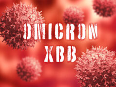 https://www.freepik.com/premium-photo/microscopic-view-coronavirus-omicron-xbb-variant-blur-background_34686857.htm#query=XBB%20omicron&position=2&from_view=search&track=sph