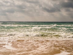 https://www.freepik.com/free-photo/storm-sandy-beach-black-sea-coast-emerald-clear-water-warm-day-sun-s-rays-make-their-way-through-clouds-sky_20022216.htm#query=windy%20beach&position=46&from_view=search&track=sph
