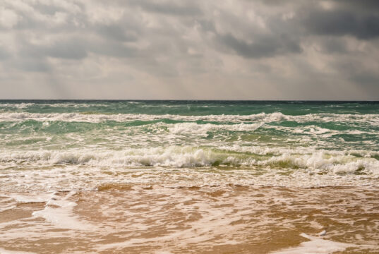 https://www.freepik.com/free-photo/storm-sandy-beach-black-sea-coast-emerald-clear-water-warm-day-sun-s-rays-make-their-way-through-clouds-sky_20022216.htm#query=windy%20beach&position=46&from_view=search&track=sph