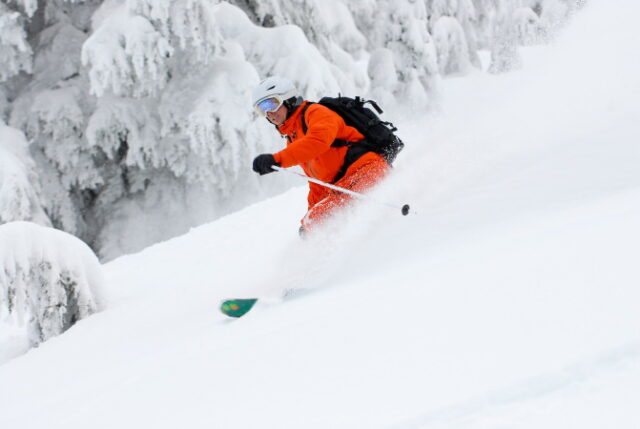 https://www.vecteezy.com/photo/745712-powder-skiing