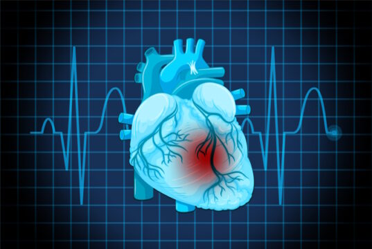 https://www.freepik.com/free-vector/human-heart-disease-symbol_27185341.htm#query=heart%20disease&position=31&from_view=search&track=sph