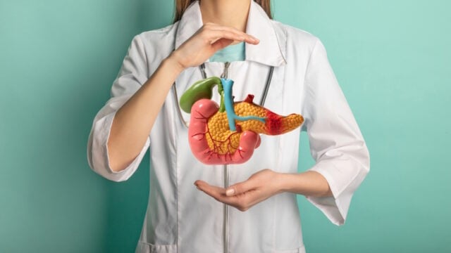 https://www.freepik.com/premium-photo/female-doctor-with-stethoscope-is-holding-pancreas-hands-help-care-concept_33163054.htm#query=pancreas&from_query=artificial%20pancreas&position=39&from_view=search&track=sph